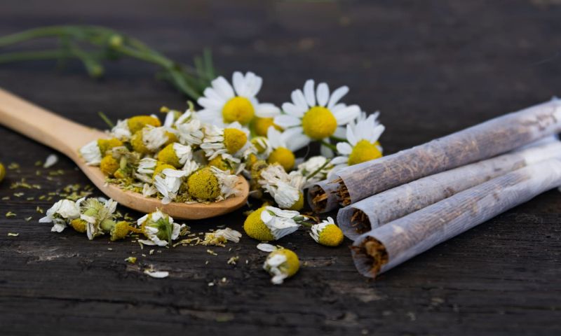 chewing tobacco while breastfeeding You Asked: Is Smoking While Breastfeeding Safe?
