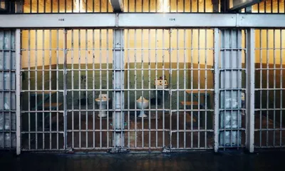 mizoram court jails two ladc officials for issuing fake land certificates