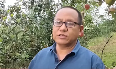 manipur farmer recommends hrmn 99 apple to nagas to boost socio economic growth