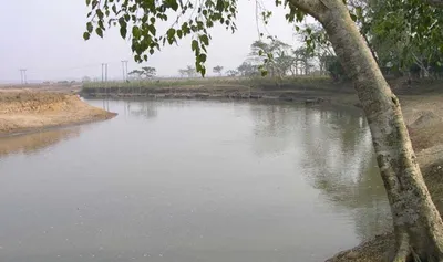 assam  illegal sand mining threatens endangered dolphins in kulshi river