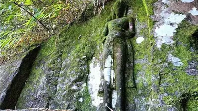 8th century hindu buddhist sculptures discovered near assam mizoram border