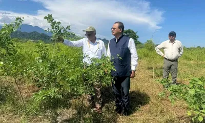 guinness record plantation site at bhairabkunda  a green milestone for assam and the planet 