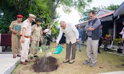 green mizoram day observed with statewide tree plantation drive