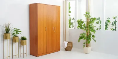 how renting an almirah helps you maximize space and minimize costs