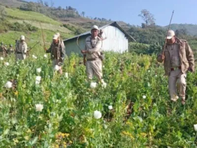 manipur  two nabbed for illegal poppy cultivation in ukhrul