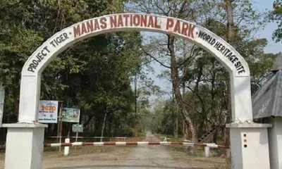 iucn flags assam’s manas wildlife sanctuary under ‘significant concern’ in 2025 report