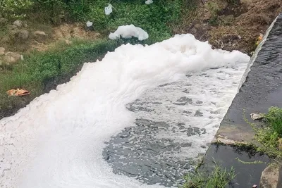 how india’s leather industry is polluting a major river basin