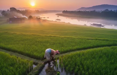 harvesting hope  how assam’s farmers are reaching the world  