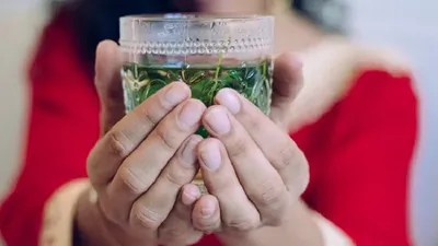 five herbs and spices that could help improve your digestion