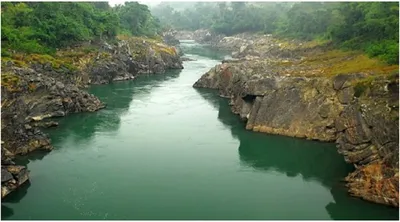arunachal  environmental impacts management in subansiri lower hydroelectric project