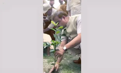 assam cm plants sacred bakul tree  launches statewide green initiative