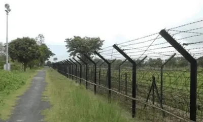 tension rises along assam–nagaland border after saplings uprooted in golaghat