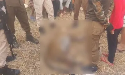 assam  leopard killed by irate mob after attack on man in duliajan