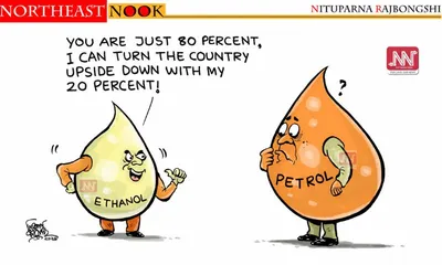 northeast nook  cartoon by nituparna rajbongshi  july 5   2026