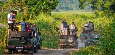 assam  kaziranga national park to partially reopen for tourists today