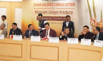 mizoram set to become ‘ginger capital of india’ after niti aayog recommendation