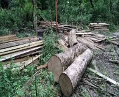 viruses expose  part  14   exploitation of natural resources in northeast