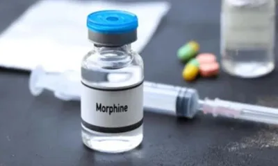 rs 11 cr worth of morphine seized in assam’s karbi anglong  two arrested