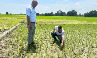 assam agriculture department steps in as drought worsens across key districts