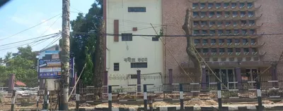 why assam needs a tree preservation act  protecting trees outside forests for a greener future