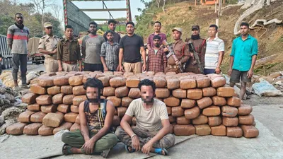 assam  over 1 300 kg ganja seized at tripura border  two nabbed