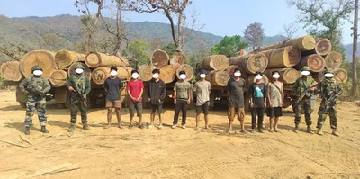 manipur  assam rifles operation nets six smugglers  amp  rs 3 crore worth of timber