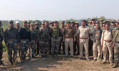 tripura  assam rifles uproot 58 acre illicit ganja plantation in sepahijala district