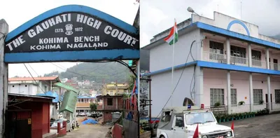 gauhati high court orders free hepatitis c testing and treatment in nagaland