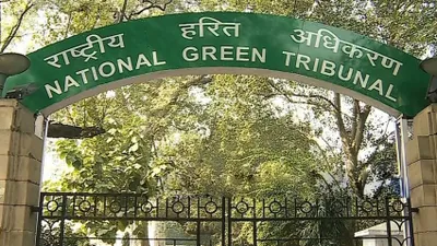 ngt seeks assam govt’s response on schools  polling stations  tea gardens found inside forest land