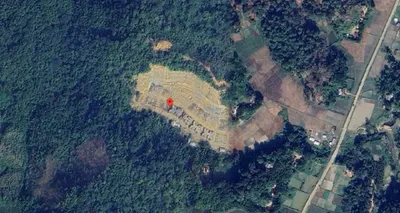construction of commando camp in forest land halted  assam govt tells ngt