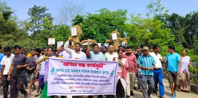 assam  tea garden workers protest over unpaid wages in dibrugarh