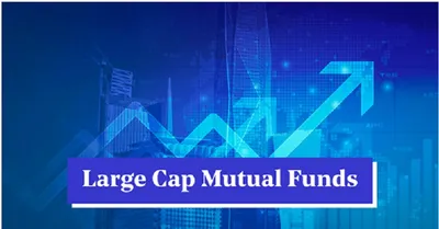 quality over quantity  understanding investment strategy of bajaj finserv large cap fund