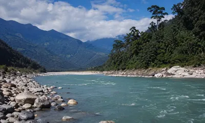 arunachal  missing endangered bird habitat details raise  concerns over kalai ii hydel project
