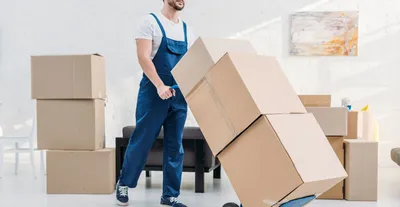 the rise of packers and movers in northeast india