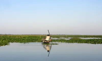 assam  a wetland too popular for its own good