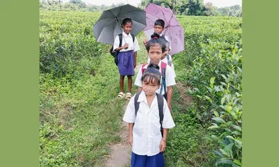 assam  tea garden kids walk their way to bolster literacy