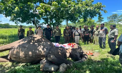 assam  end of an era as kaziranga s legendary patrol elephant joymala dies at 66