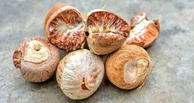 mizoram  cbi discovers 23 secret areca nut godowns