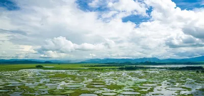 manipur  fish farm to be modernised near loktak for producing sufficient fish