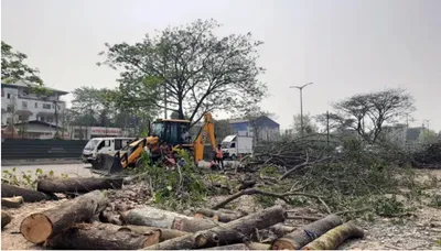 assam  forest dept cuts down hundreds of trees to install wire fence in digboi