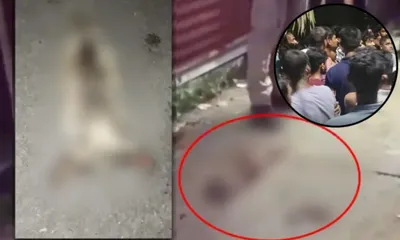 assam  severed cow head found near kali temple in lakhipur triggers outrage