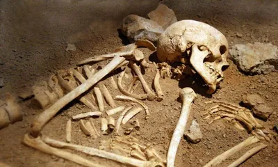 over 700 year old human bones discovered in mizoram cave