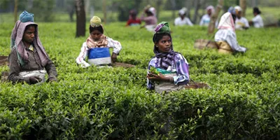 industrial progress in assam   a herculean task for a meaningful achievement