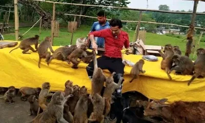 zubeen garg  a melody for the wild