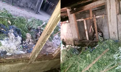 arunachal  fire breaks out in ruying colony  no casualties reported