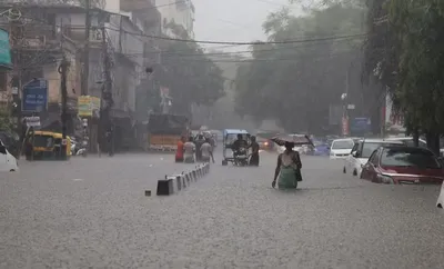 hidden health risks of stagnant rainwater in urban areas