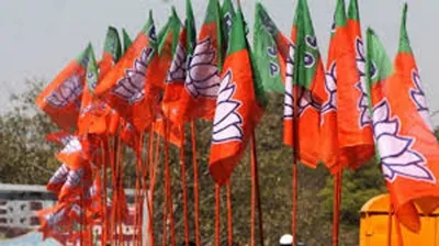 meghalaya bjp to crowdsource manifesto suggestions for lok sabha elections