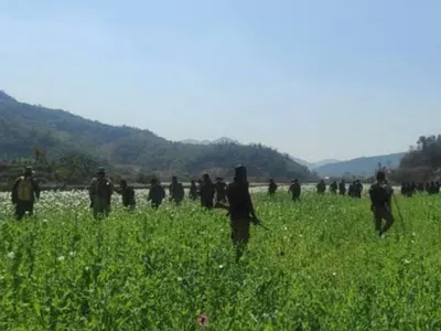 manipur  250 kilograms of raw opium destroyed in kangpokpi