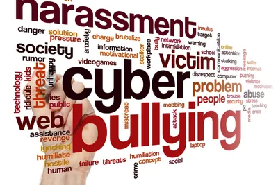 cyberbullying  trolling and cyber abuse