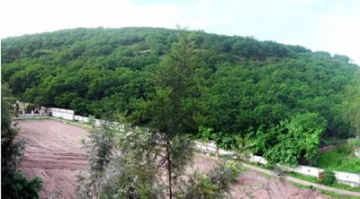 two nagaland teenagers robbed and assaulted in pune